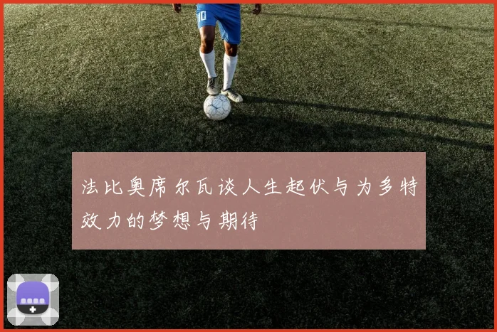 法比奥席尔瓦谈人生起伏与为多特效力的梦想与期待