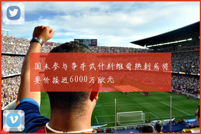 国米参与争夺武什科维奇热刺或将要价接近6000万欧元